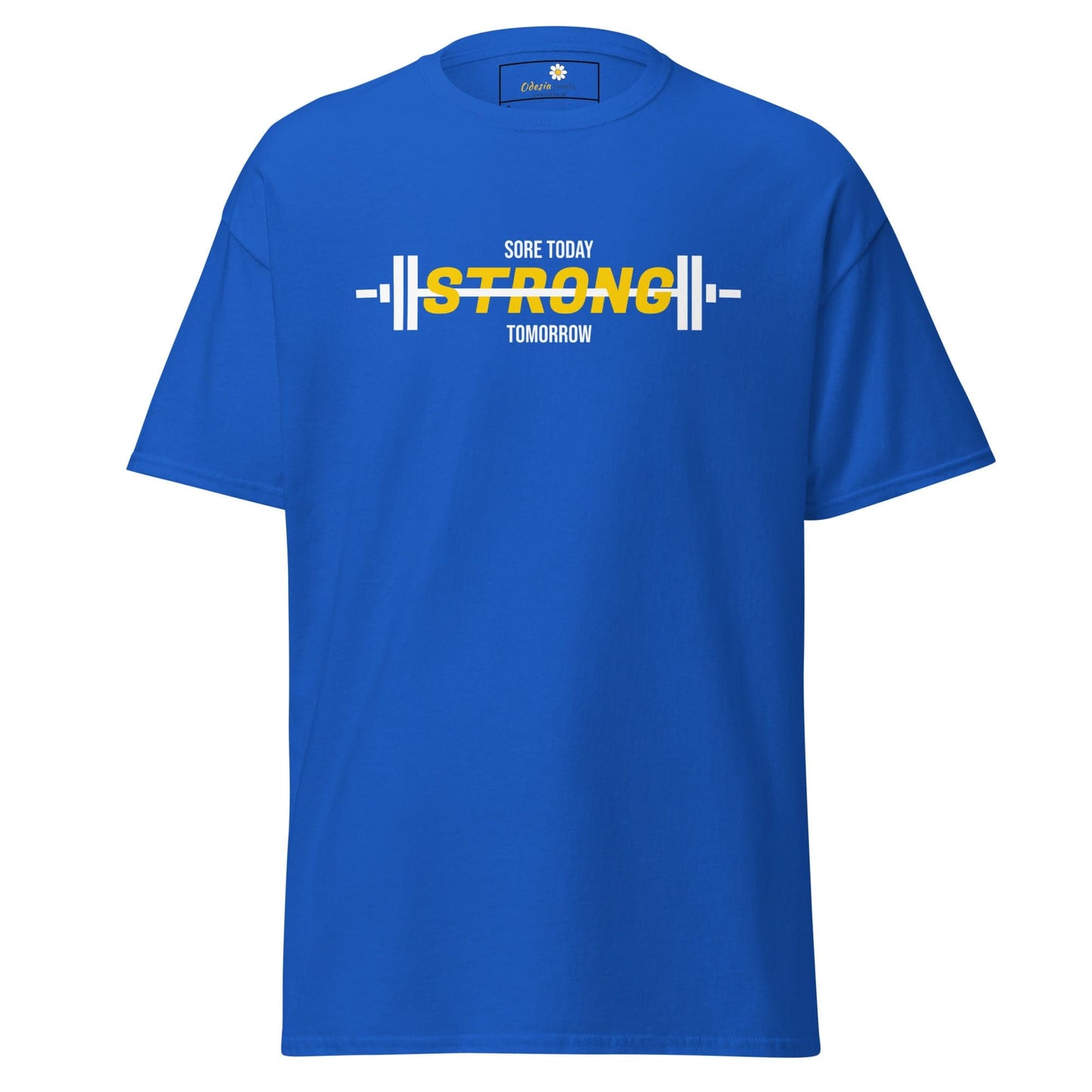 Unisex classic t-shirt - SPORT SORE TODAY - REGULAR - Royal / S